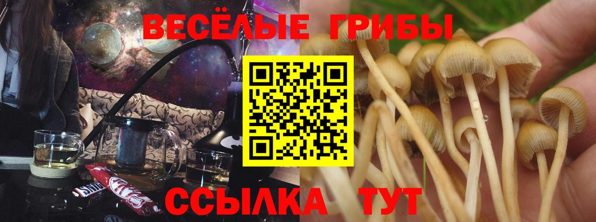 Арзамас  Псилоцибиновые грибы мицелий  купить наркотики цена  Галлюциногенные грибы Magic Shrooms  Вход с VPN 